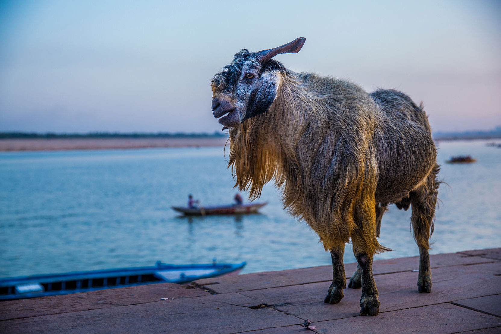 -DARREN-KEITH_VARANASI_3189