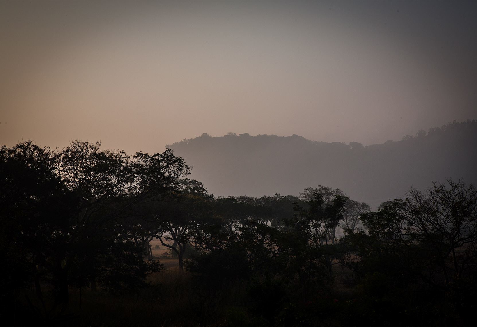 INDIA_MG_0762.jpg