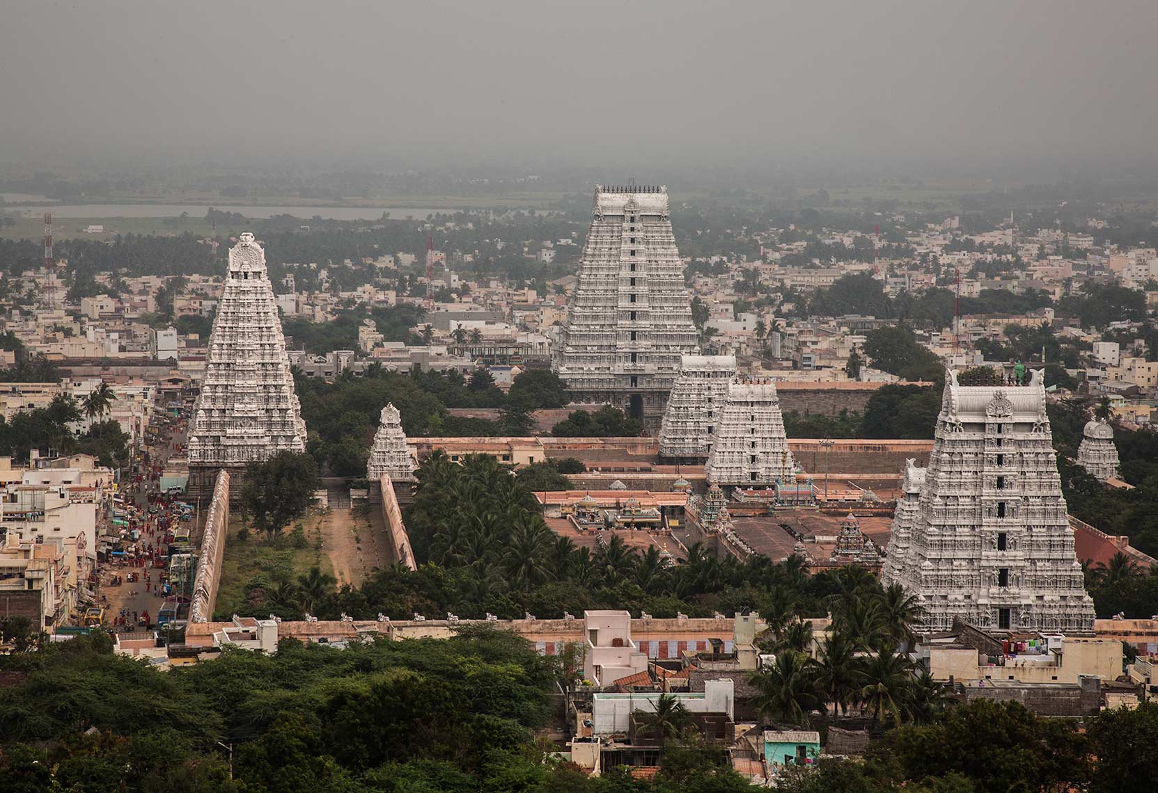 INDIA_MG_2107.jpg