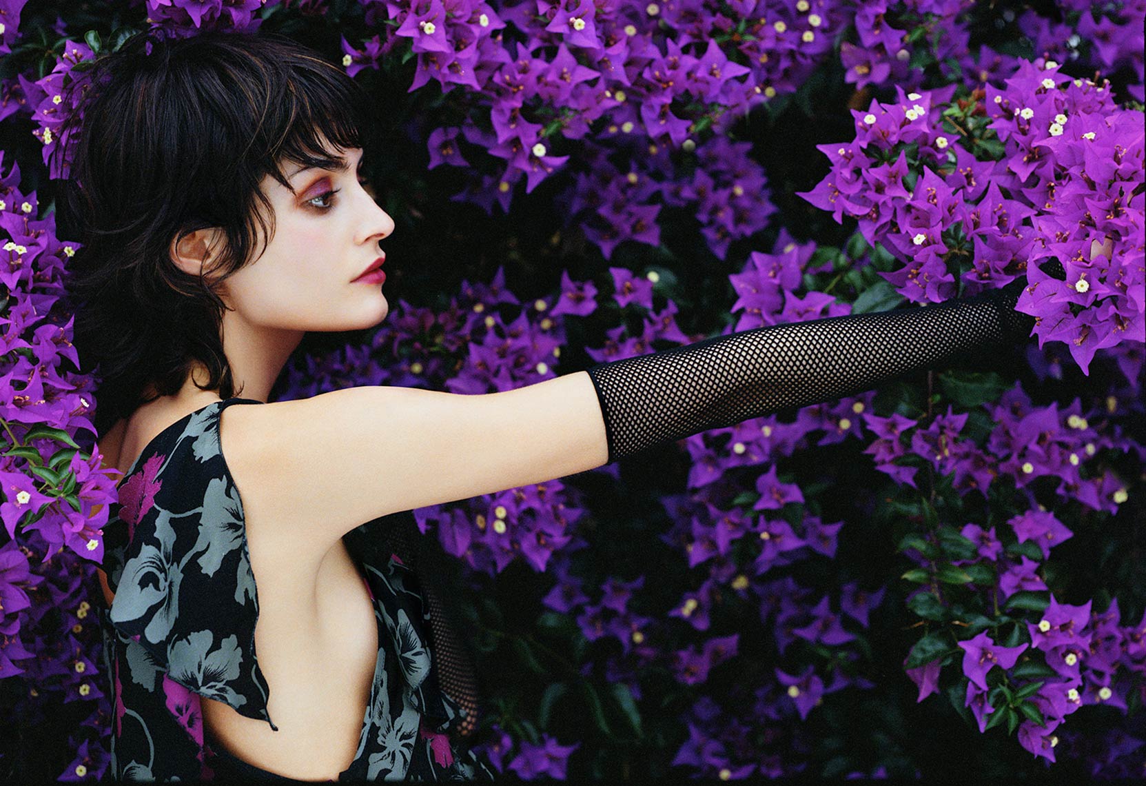 MADAME_FLOWERS.jpg